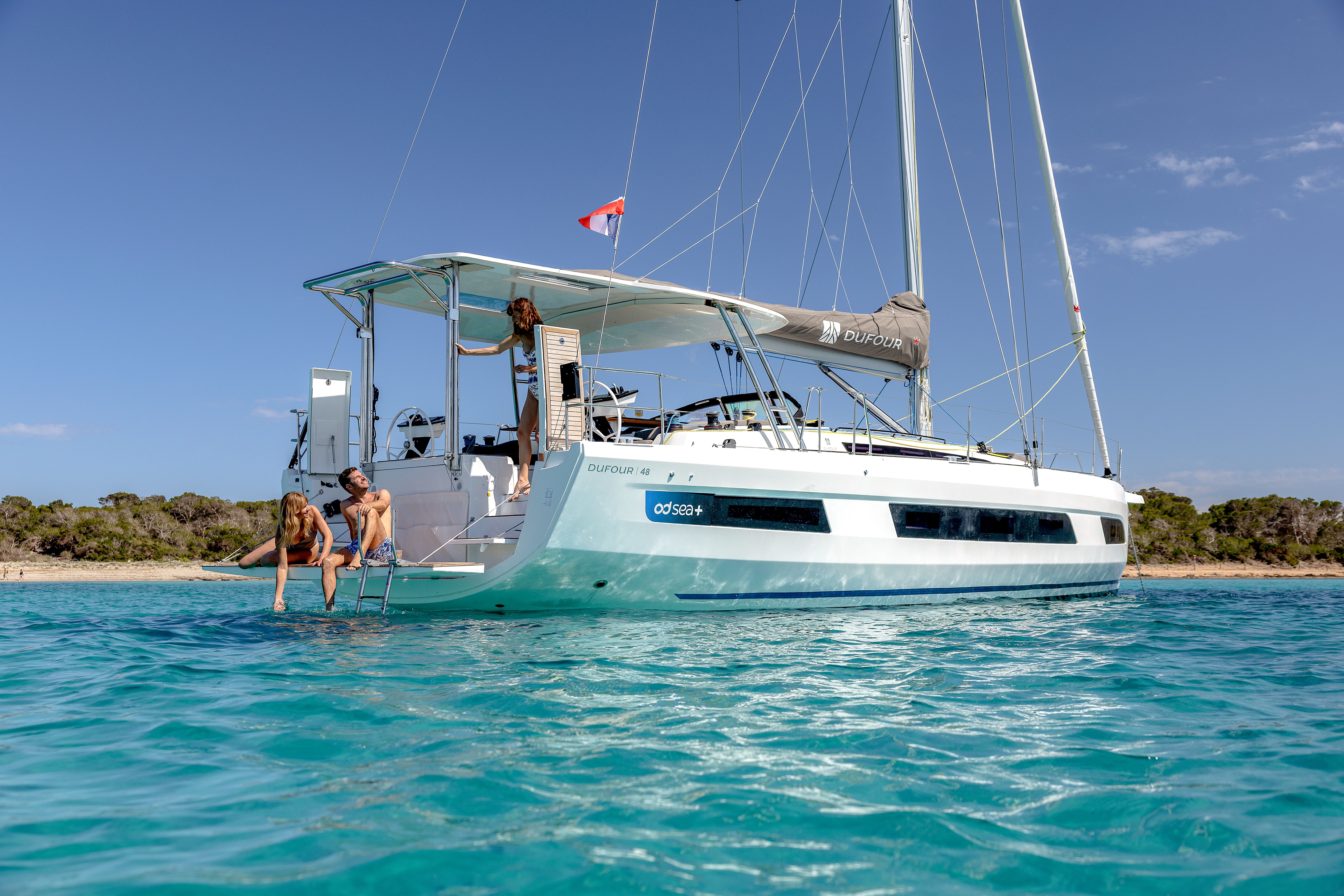 Flectra CMS - a big picture